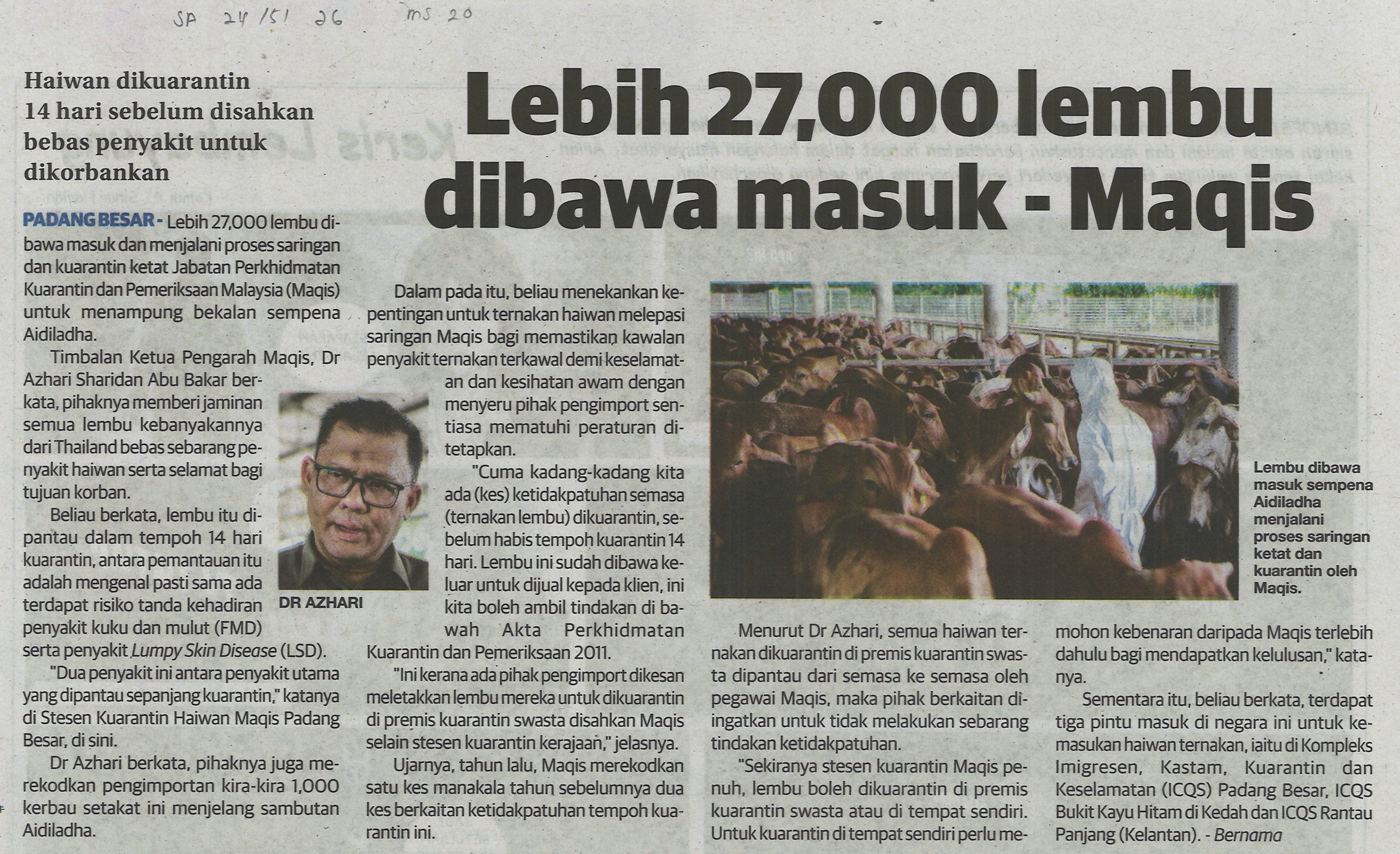 Lebih 27,000 lembu dibawa masuk-Maqis