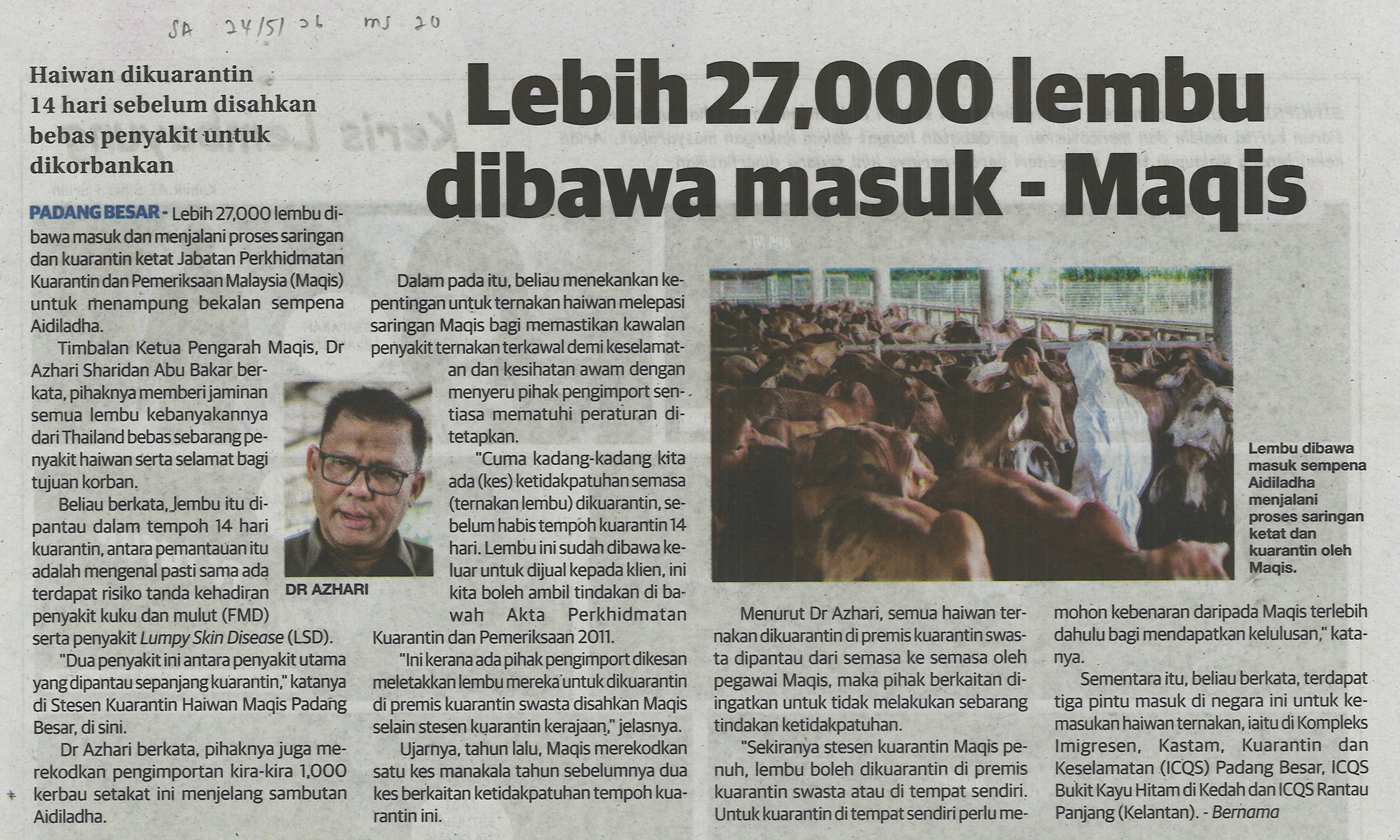 Lebih 27,000 lembu dibawa masuk - Maqis