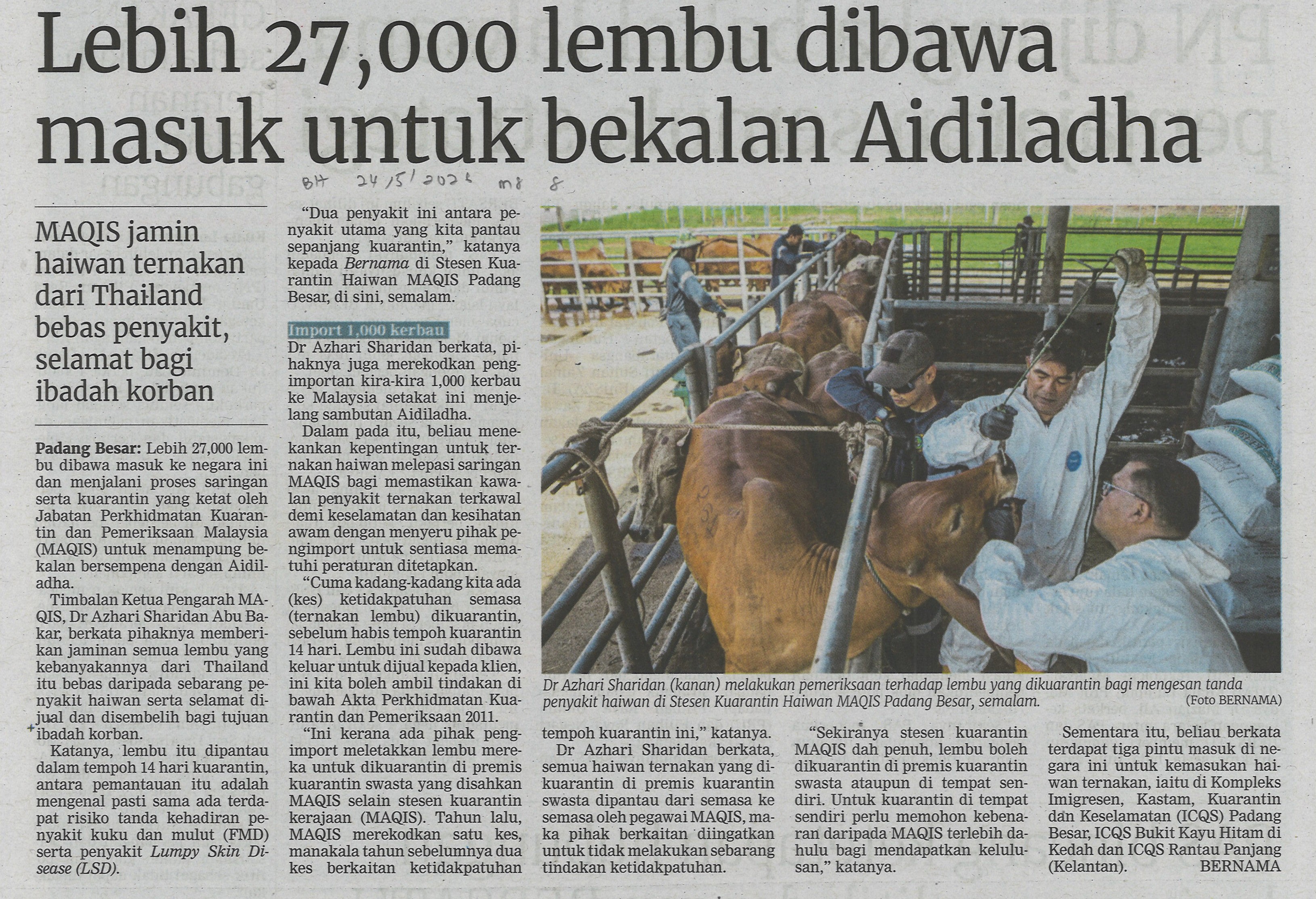Lebih 27,000 lembu dibawa masuk untuk bekalan Aidiladha