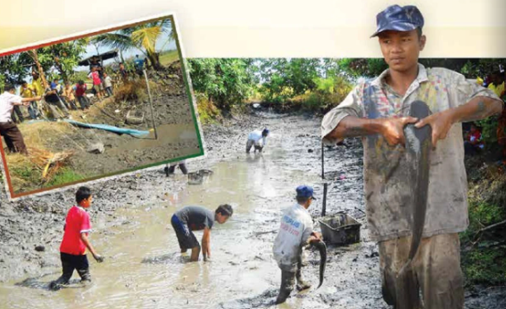 TIMBA TELAGA MASIH SUBUR DI PERLIS