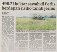 496.21 hektar sawah di Perlis berdepan risiko tanah jerlus